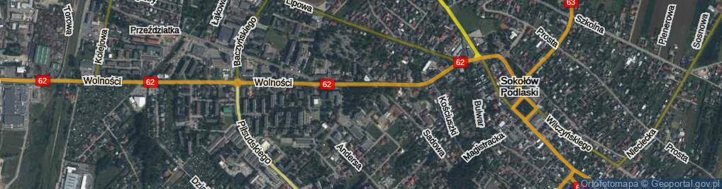 Zdjęcie satelitarne Skwer Mickiewicza Adama skw.